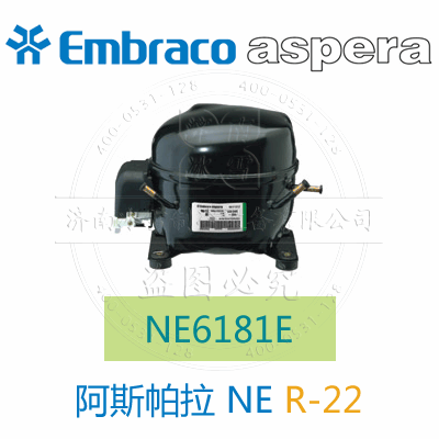 NE6181E